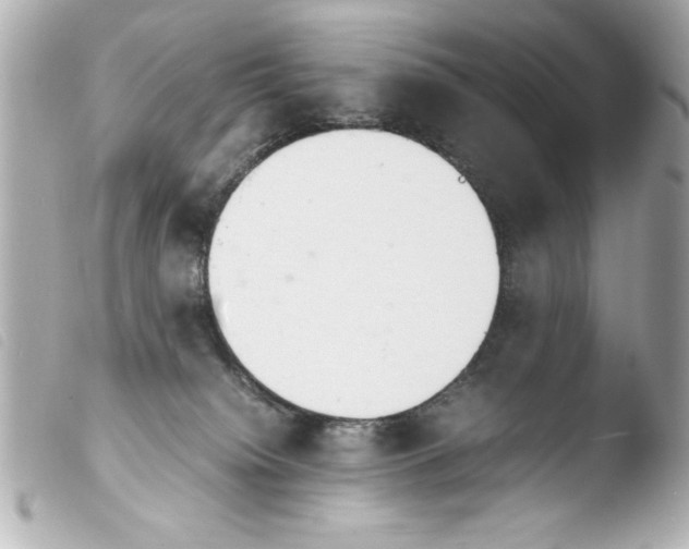 X0000103900084200810031159