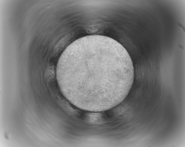 X0000103900085200810031159