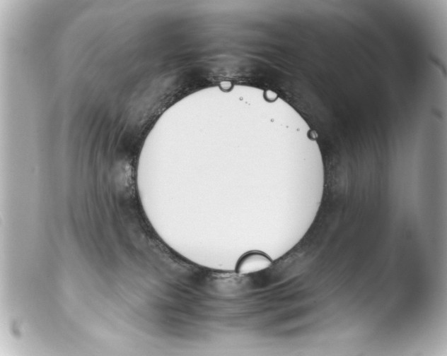 X0000103900087200810031159