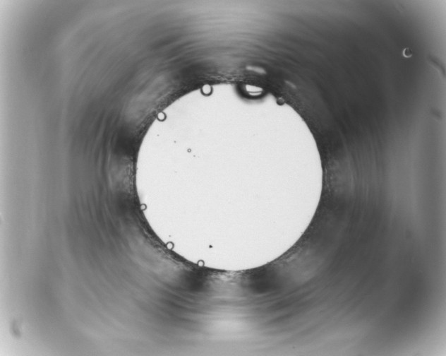 X0000103900092200810031159