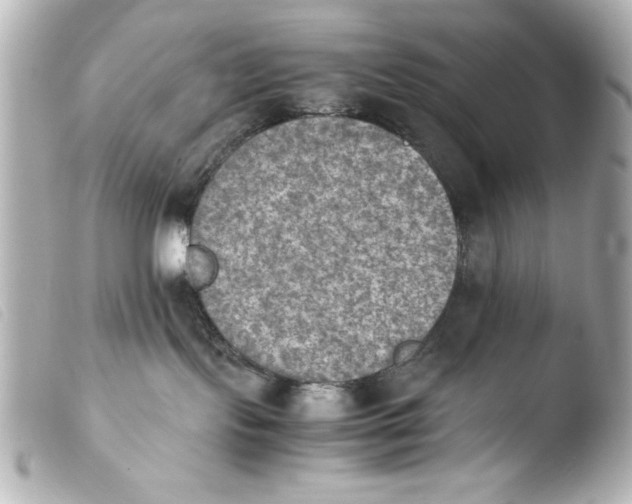 X0000103900095200810031159