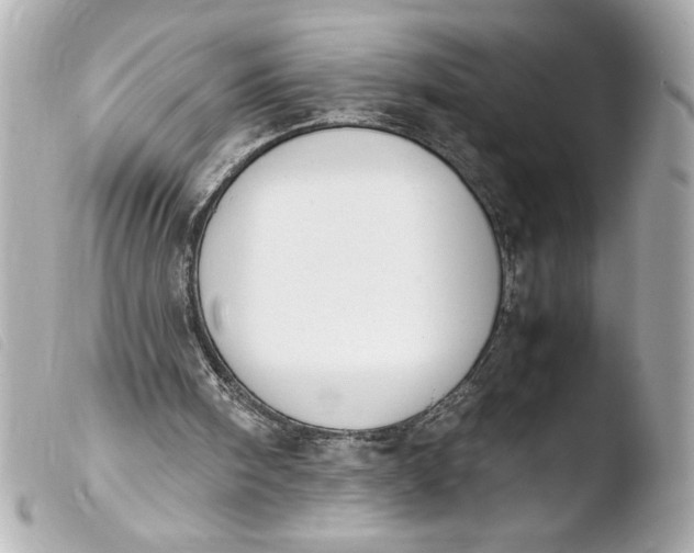 X0000103900098200810031158