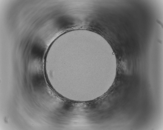 X0000103900100200810031158