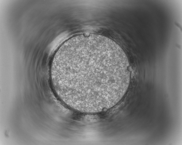 X0000103900101200810031158