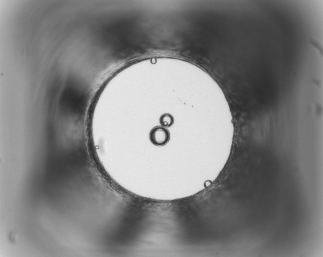 X0000103900104200810031158