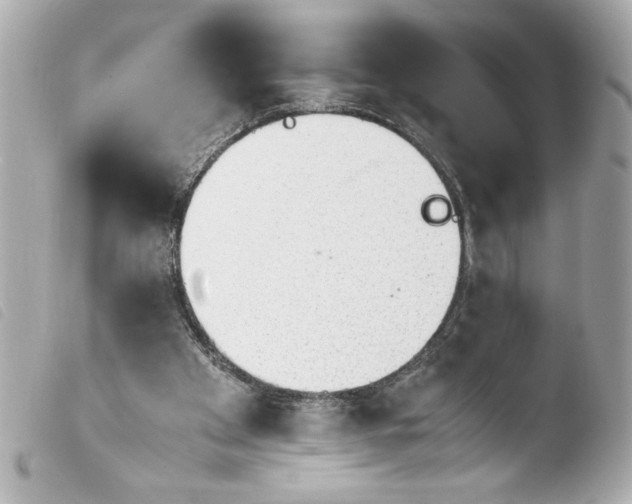 X0000103900105200810031158