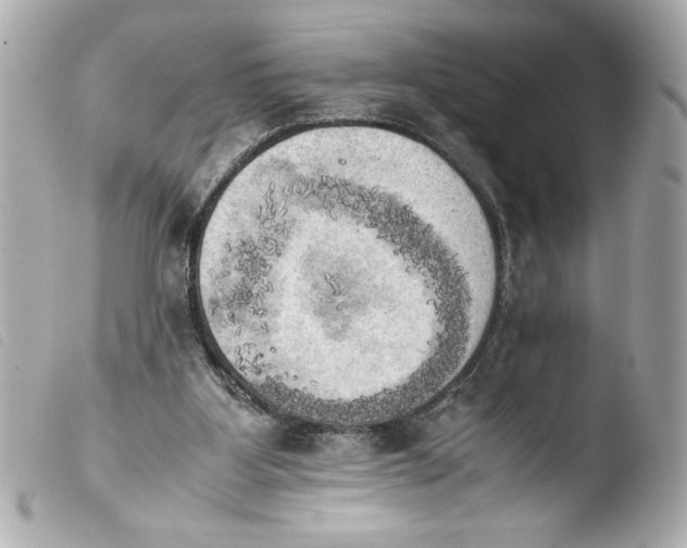 X0000103900107200810031158