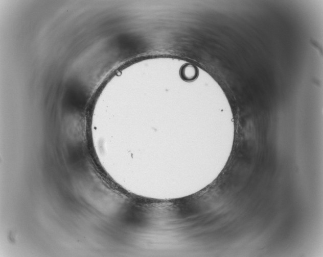 X0000103900108200810031158