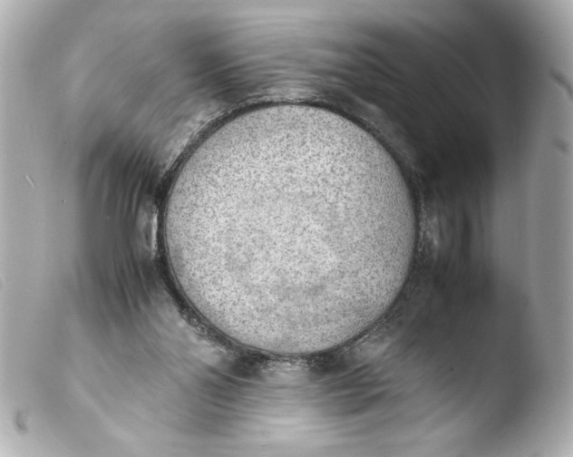 X0000103900110200810031158