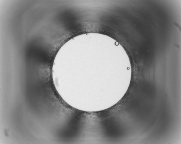 X0000103900113200810031158