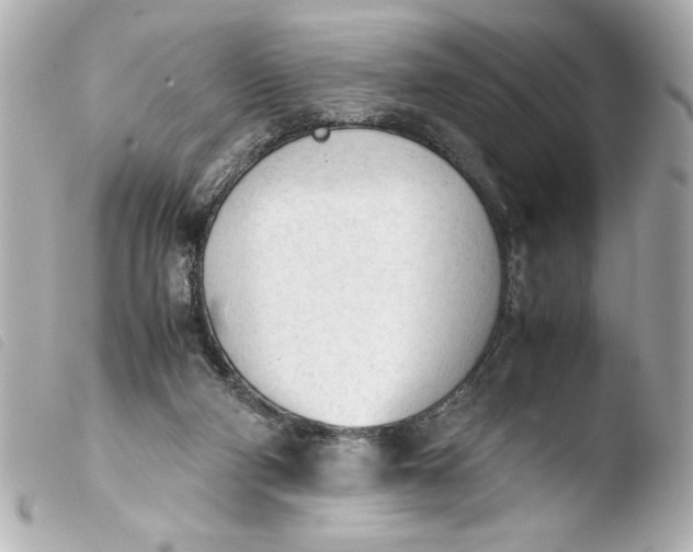 X0000103900114200810031158