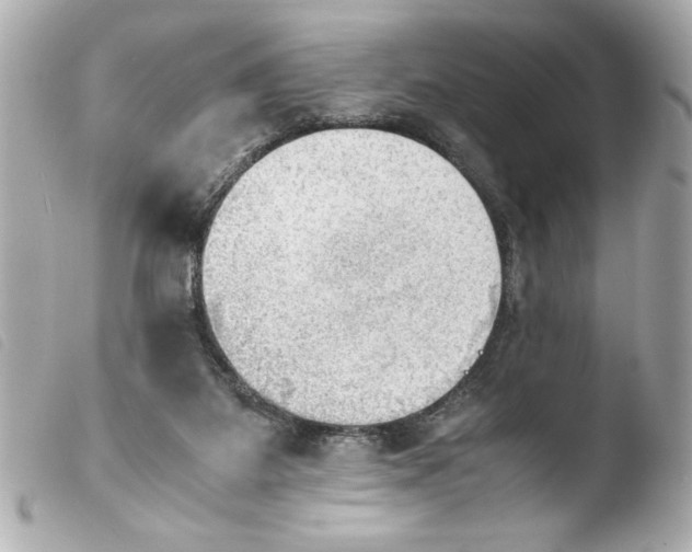 X0000103900115200810031158