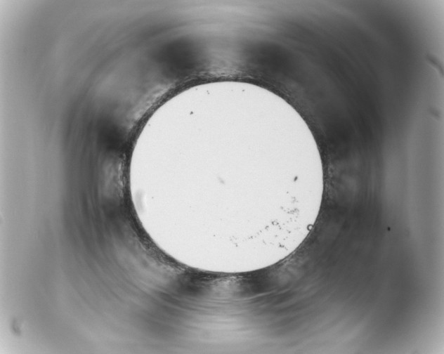 X0000103900116200810031158