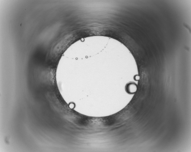 X0000103900121200810031158