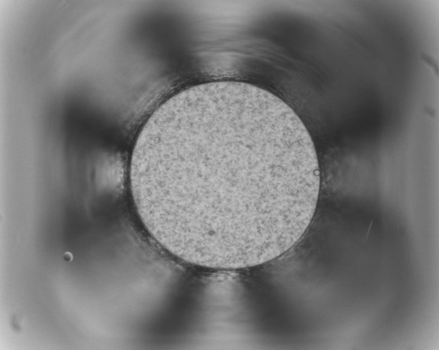 X0000103900124200810031158