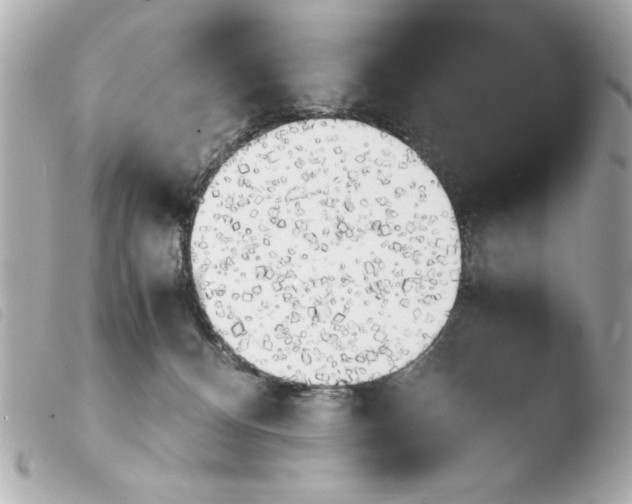 X0000103900128200810031158