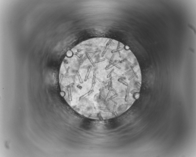 X0000103900131200810031158