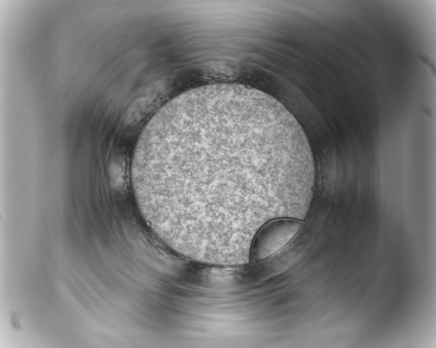 X0000103900134200810031158