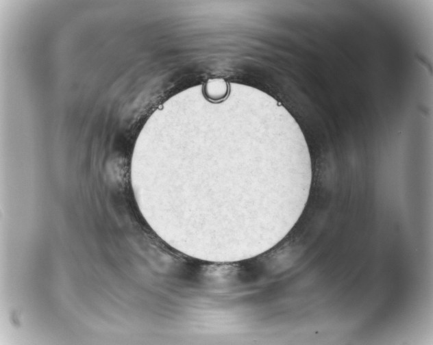 X0000103900135200810031158