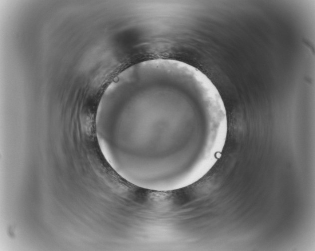 X0000103900139200810031158