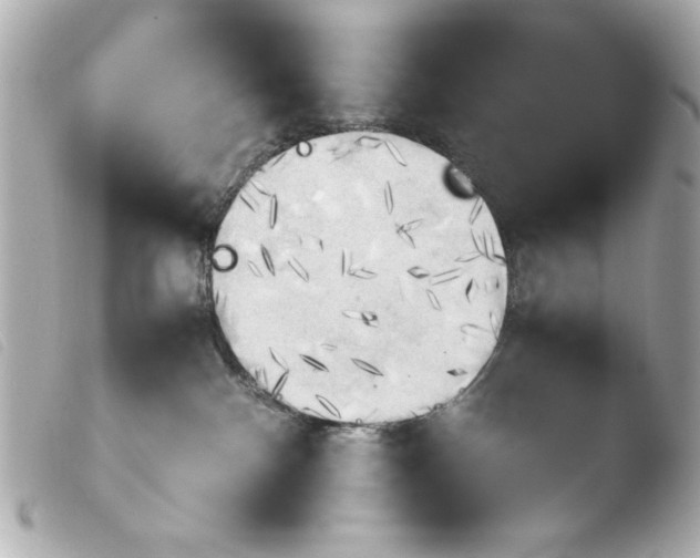 X0000103900140200810031158