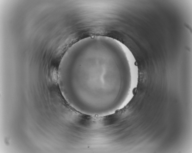 X0000103900143200810031158