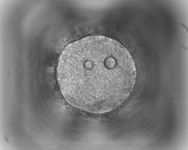 X0000103900144200810031158