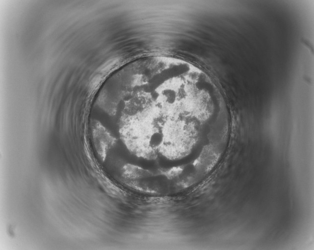 X0000103900145200810031157