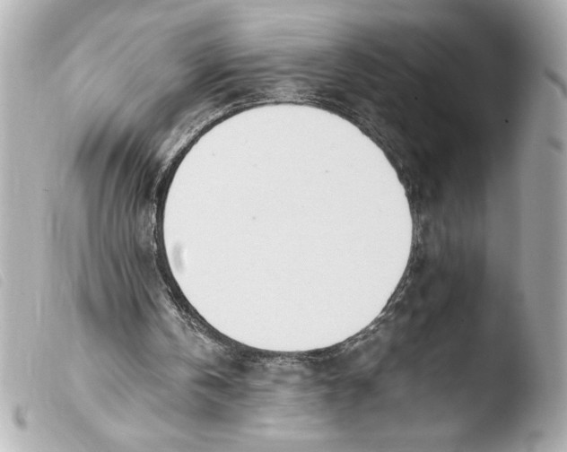 X0000103900146200810031157