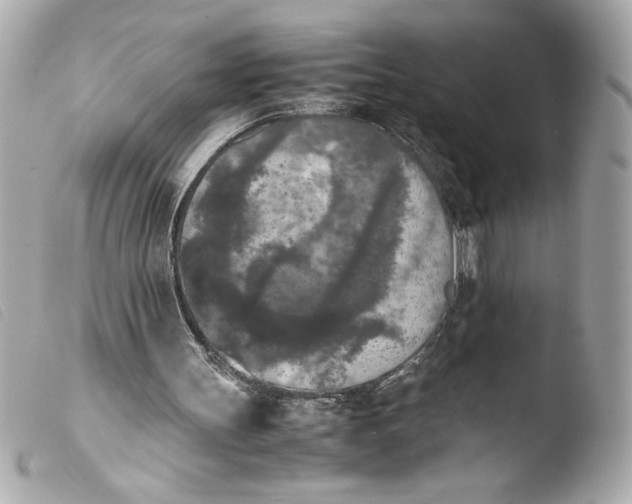 X0000103900147200810031157