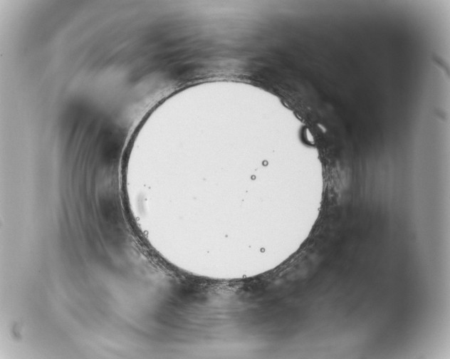 X0000103900148200810031157