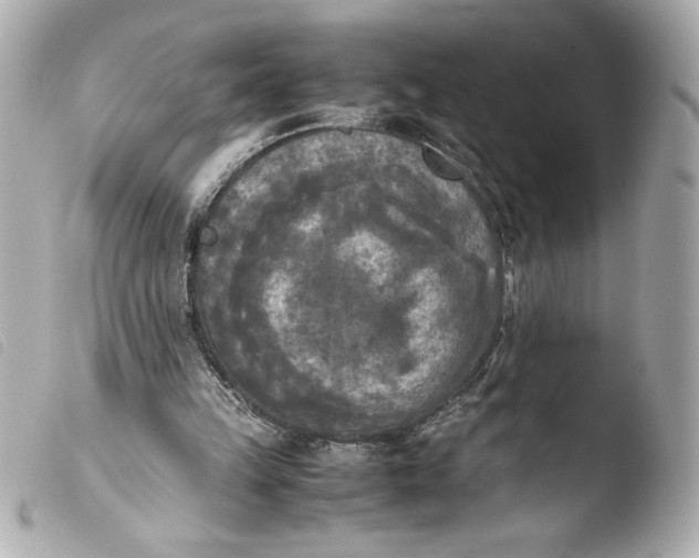 X0000103900149200810031157