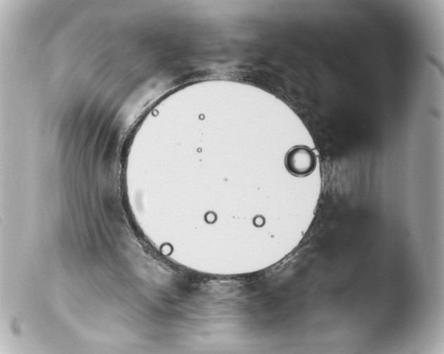 X0000103900150200810031157