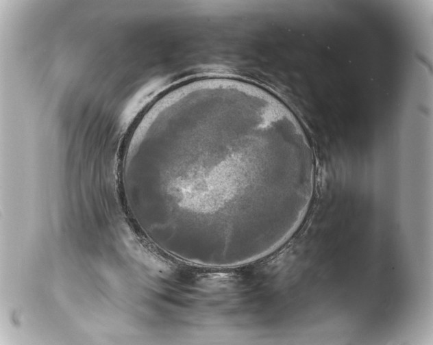 X0000103900151200810031157