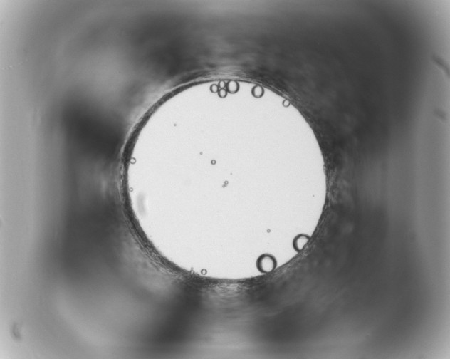 X0000103900152200810031157