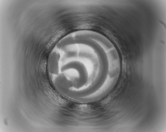 X0000103900153200810031157