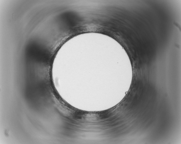 X0000103900154200810031157