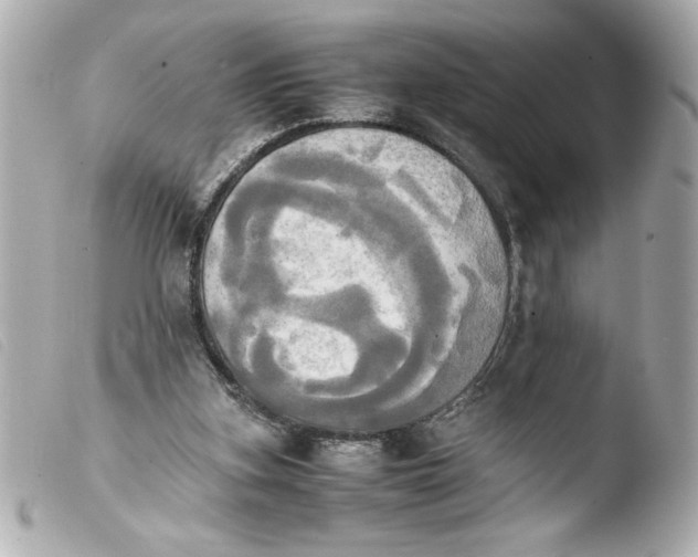 X0000103900155200810031157