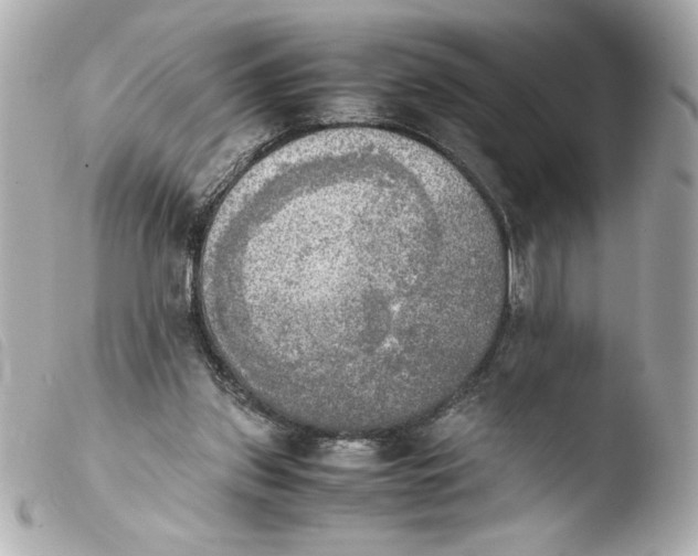 X0000103900157200810031157