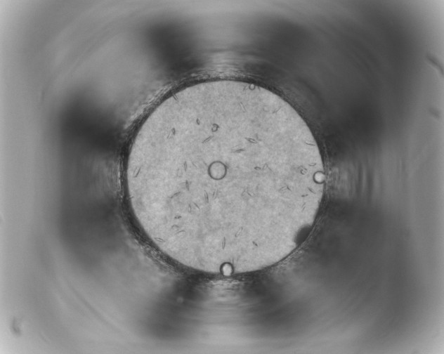 X0000103900158200810031157