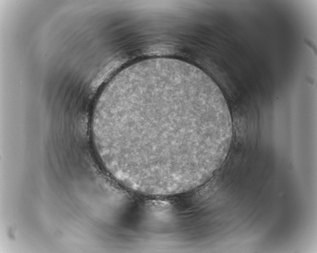 X0000103900159200810031157