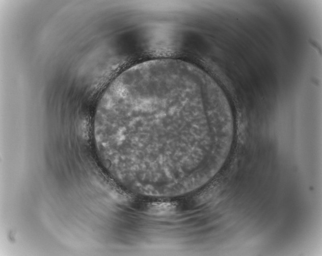 X0000103900161200810031157