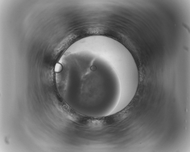 X0000103900163200810031157