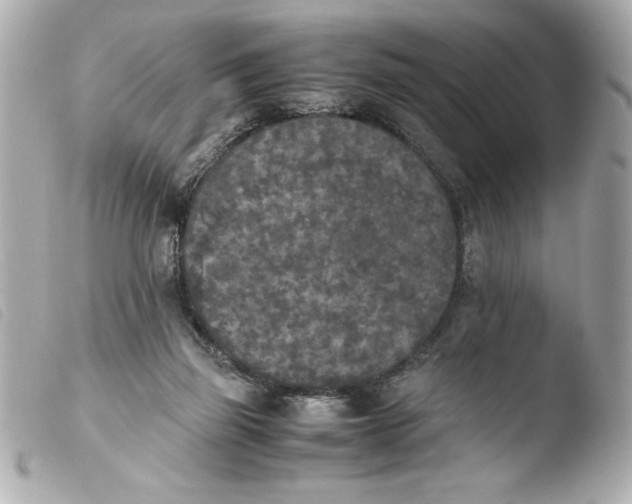 X0000103900165200810031157