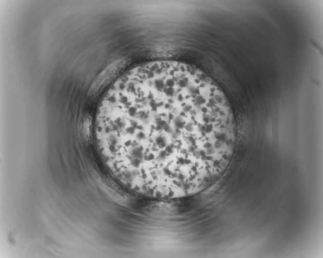 X0000103900166200810031157