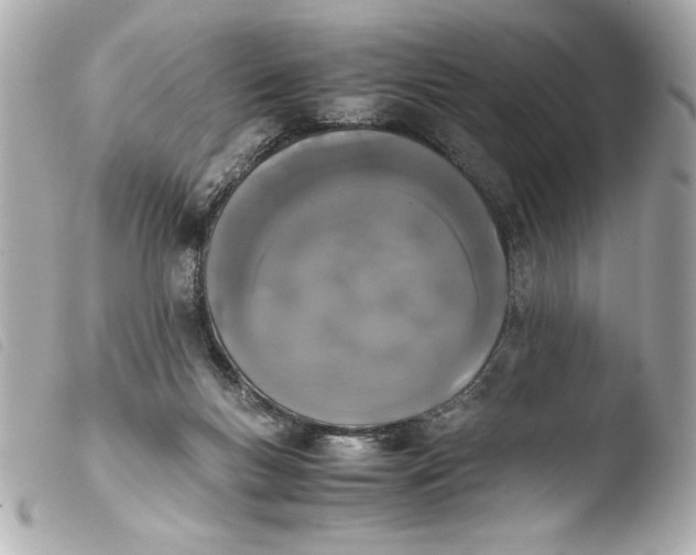 X0000103900167200810031157