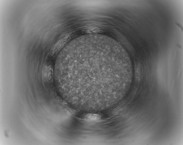 X0000103900169200810031157