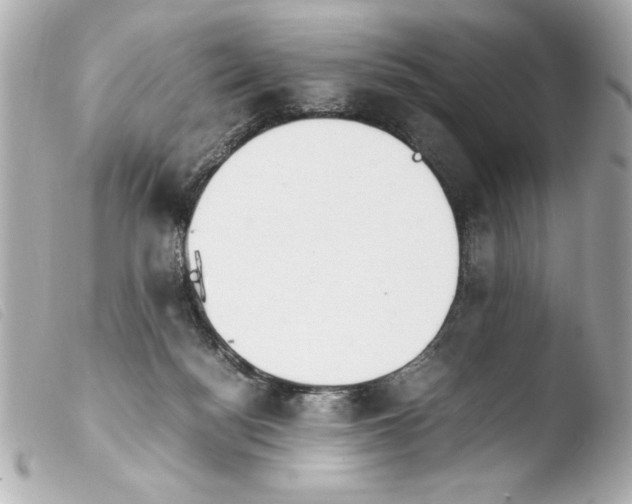 X0000103900172200810031157