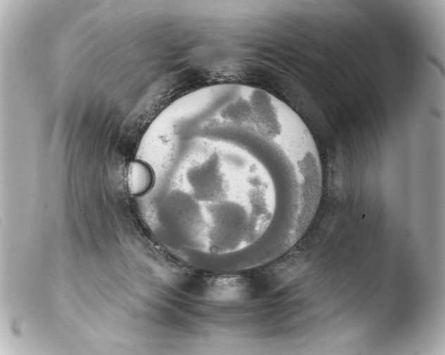 X0000103900173200810031157