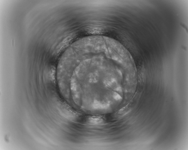 X0000103900175200810031157